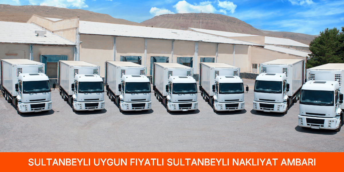 Uygun Fiyatlı Sultanbeyli Nakliyat Ambarı